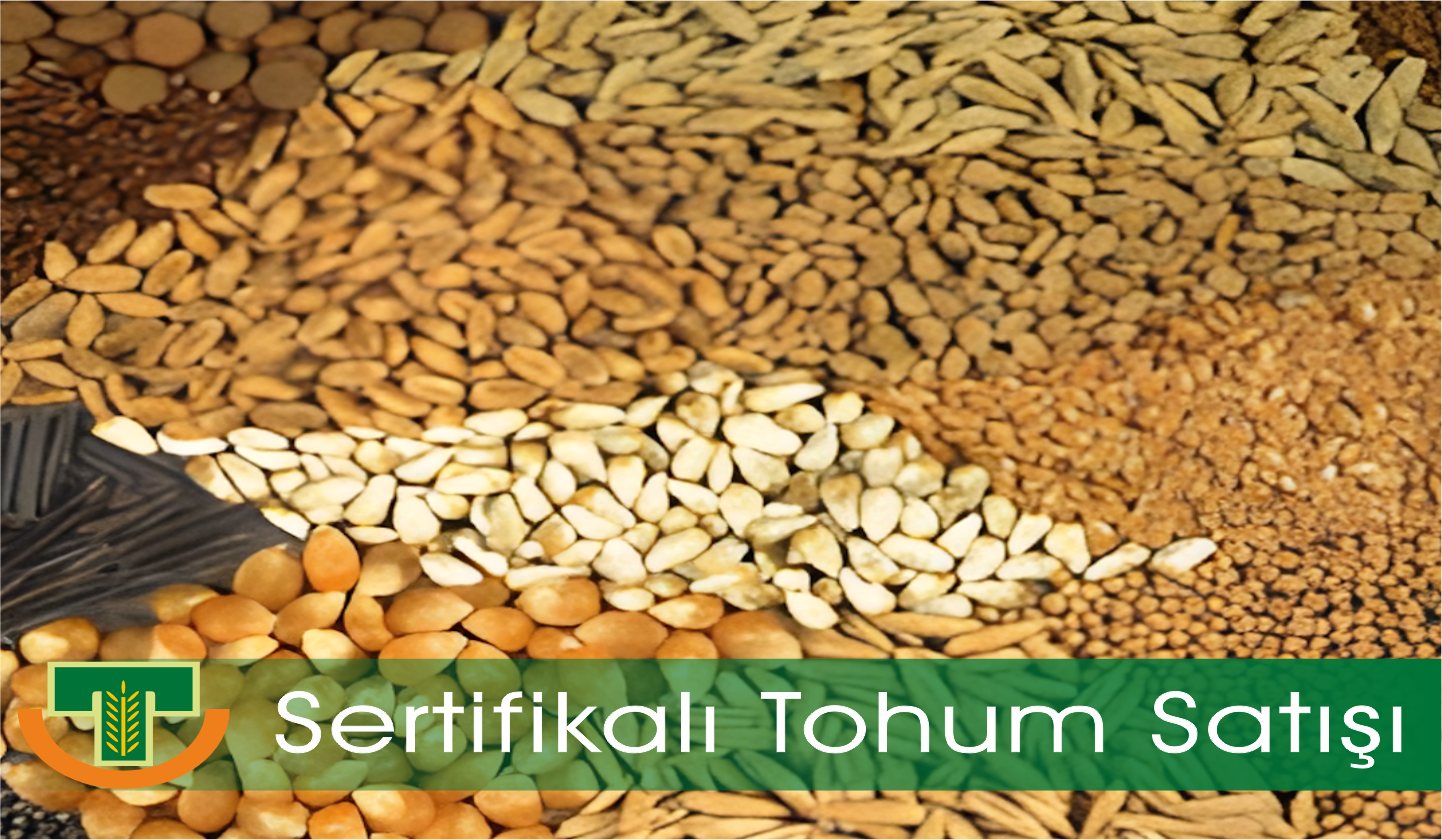 Sertifikalı Tohum Satışı